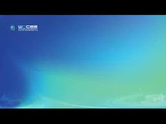 2025 World Clean Energy Equipment Conference interview